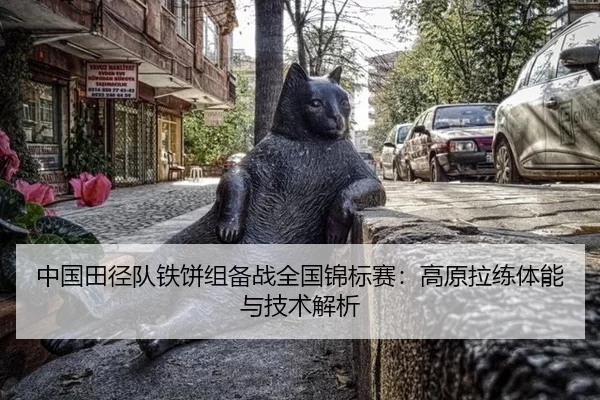 中国田径队铁饼组备战全国锦标赛：高原拉练体能与技术解析